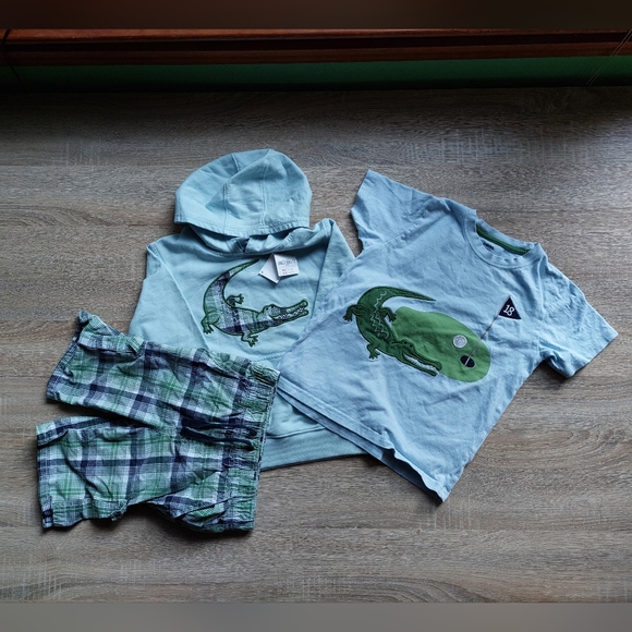 2011 nwt/guc 8 piece Gymboree bundle - Picture 7 of 16